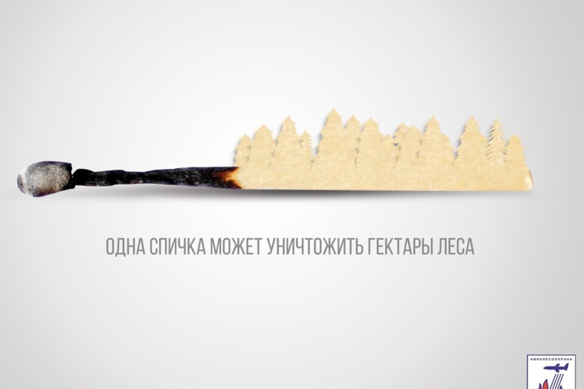 Курская область продолжает участвовать в Федеральной информационной противопожарной кампании «Останови огонь!»
